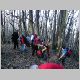 24_02_08brugiana 013.jpg